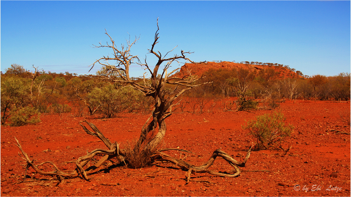 *** The Pilbara near Tom Price ***