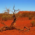 *** The Pilbara near Tom Price ***