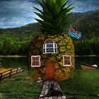 The Pineapple House