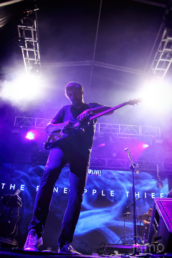 The Pineapple Thief