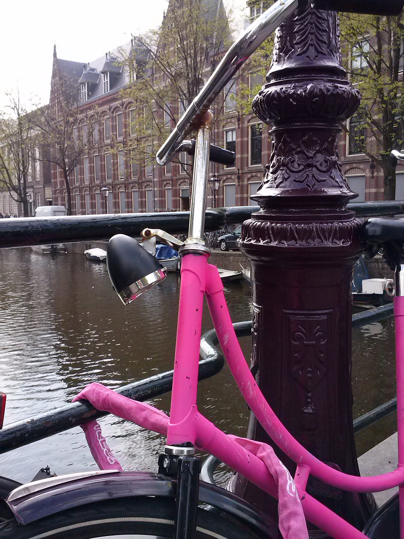 The Pink Bike