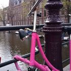 The Pink Bike