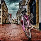 The pink bike