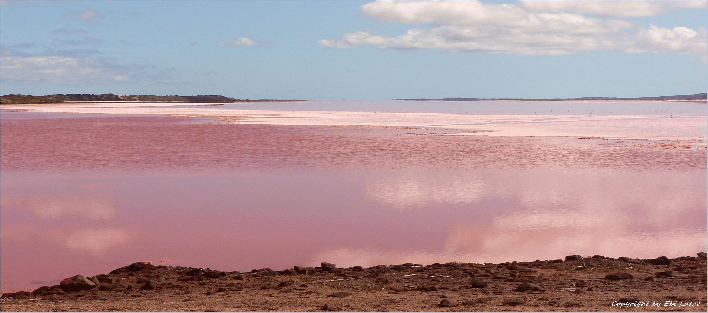 * the Pink Lake / Hatt Lagoon *