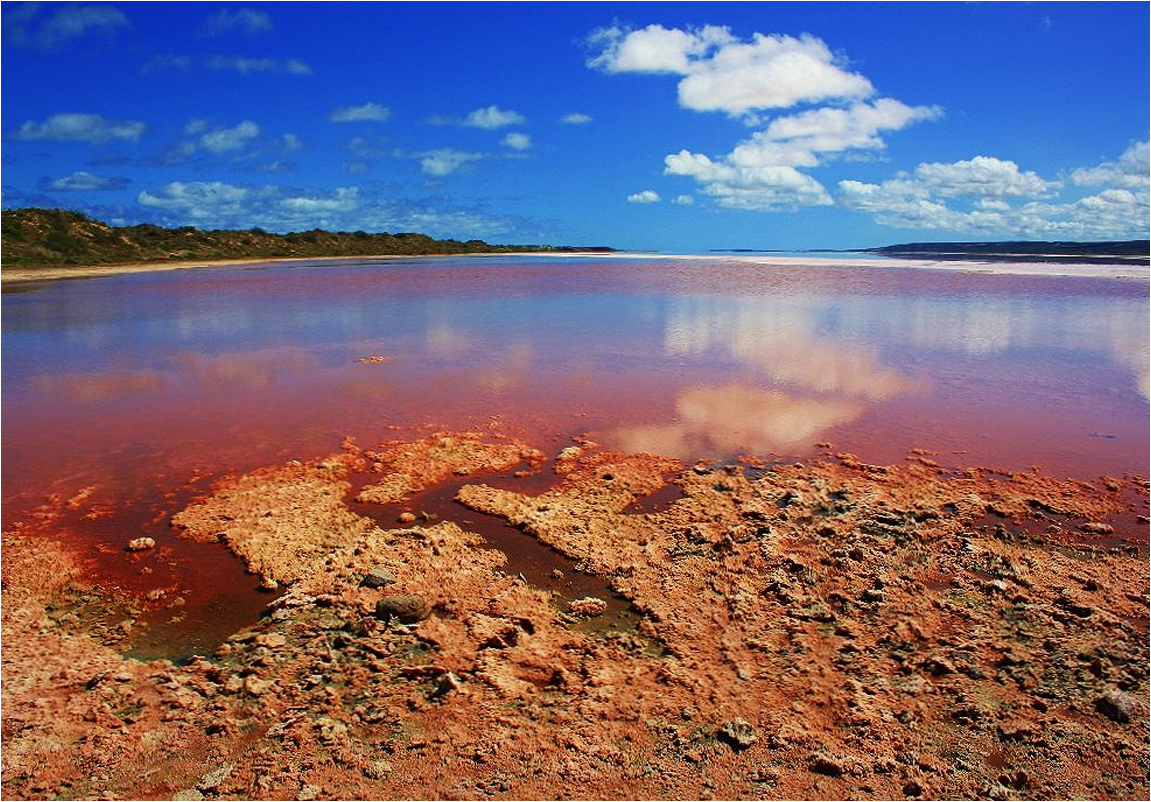 *** The Pink Lake / Hutt Lagoon ***