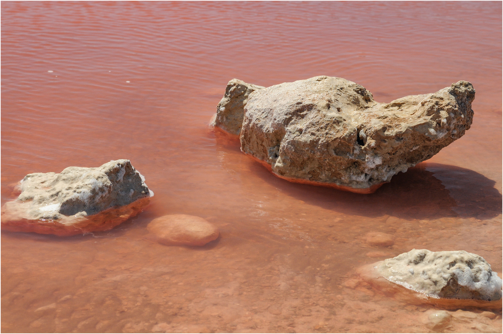 "The Pink Lake" - Westaustralien, 2008