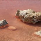 "The Pink Lake" - Westaustralien, 2008