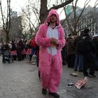 the pink rabbit