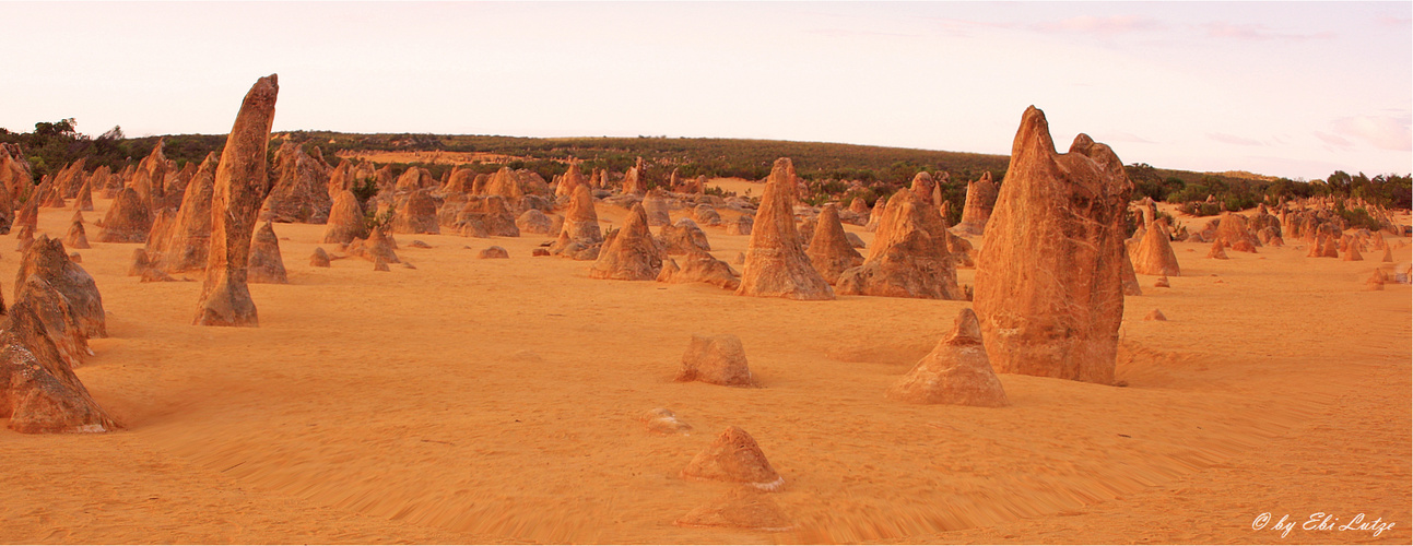 ** The Pinnacles / before Sunrise **