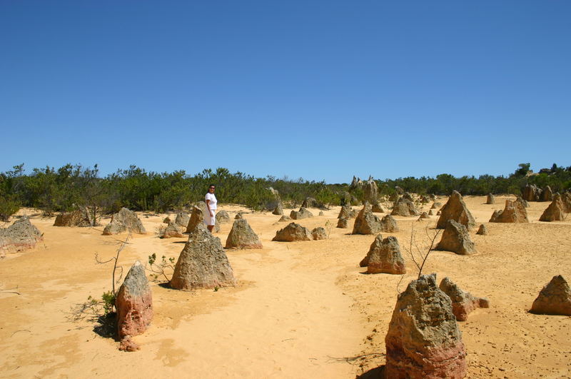 The Pinnacles - Cervantes, WA