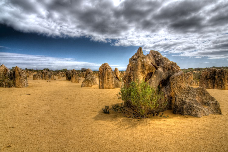 The Pinnacles Desert