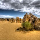 The Pinnacles Desert