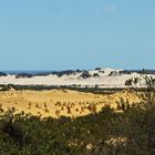 ..The Pinnacles Desert 1..