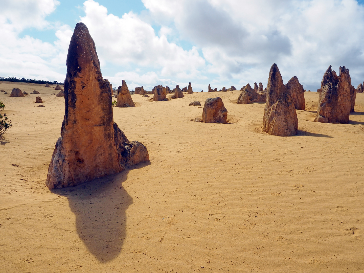 The Pinnacles Desert (2)