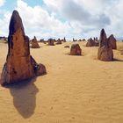 The Pinnacles Desert (2)