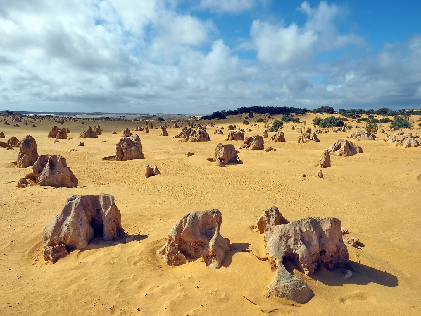 The Pinnacles Desert (3)