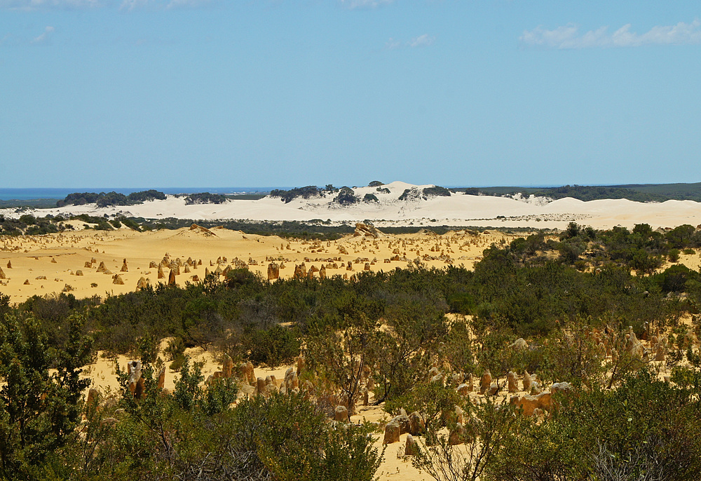 ..The Pinnacles Desert 3..