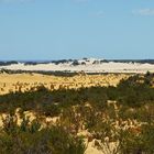 ..The Pinnacles Desert 3..