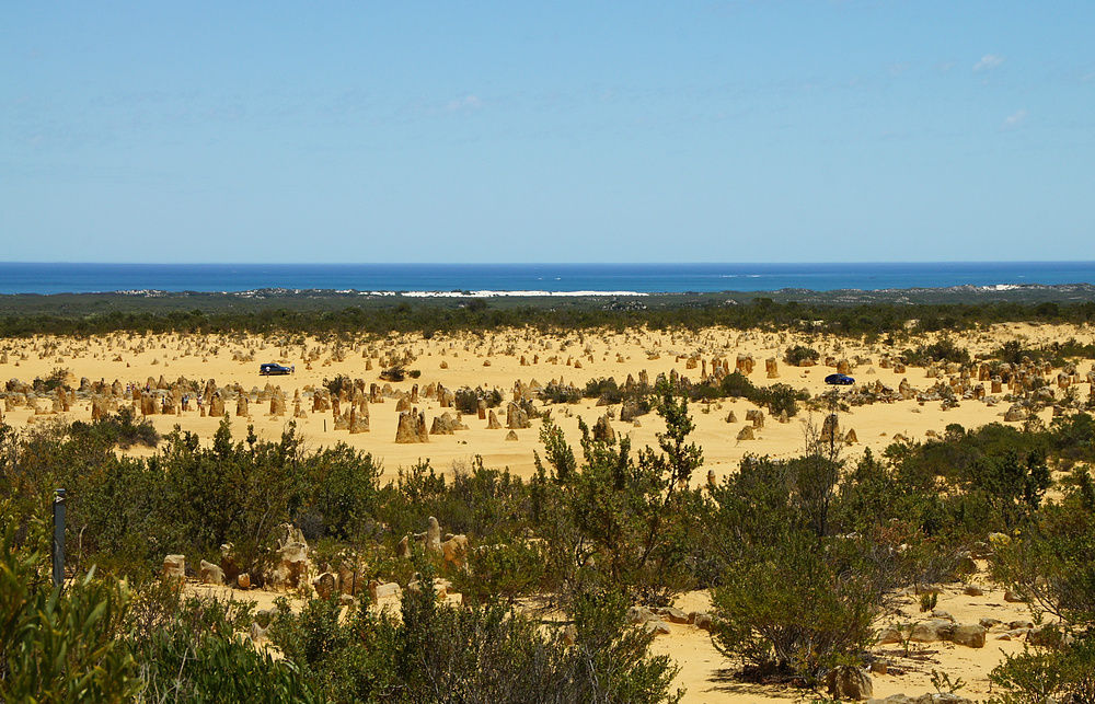 ..The Pinnacles Desert..