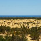 ..The Pinnacles Desert..