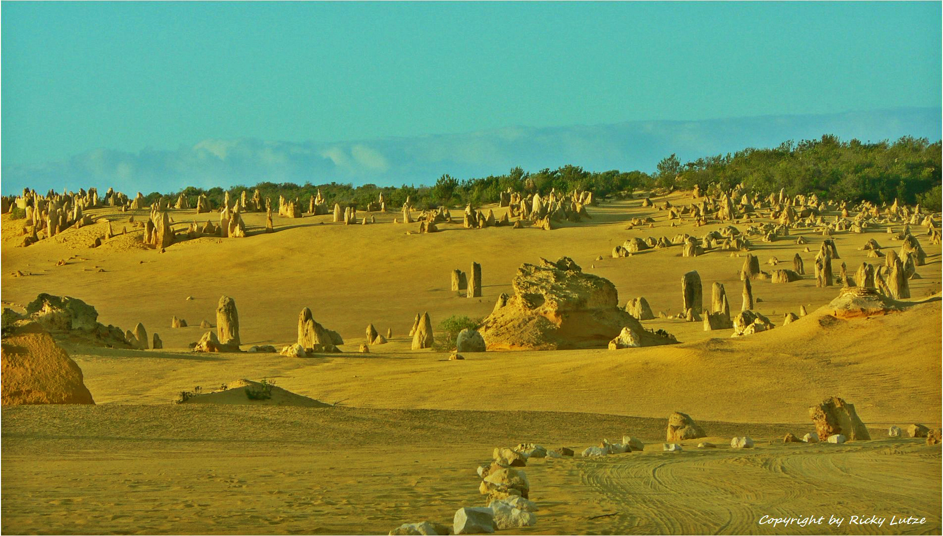 * the Pinnacles / Pinnacle Desert near Cervantes *