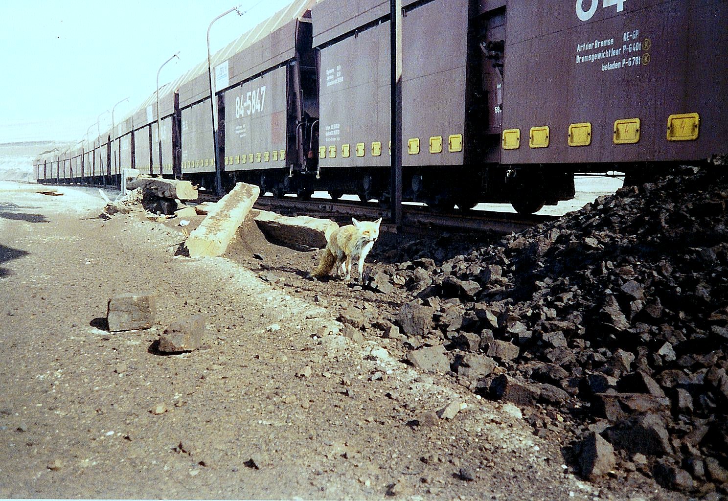 the pit foreman says goodbye