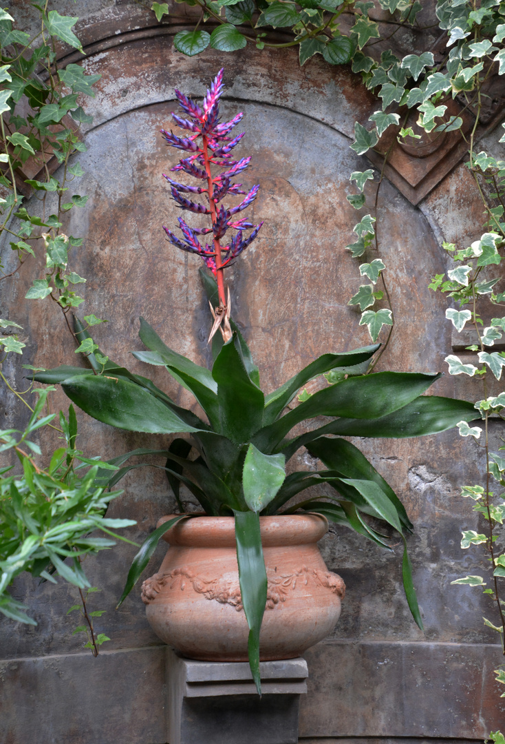 The plantpot in greenhouse