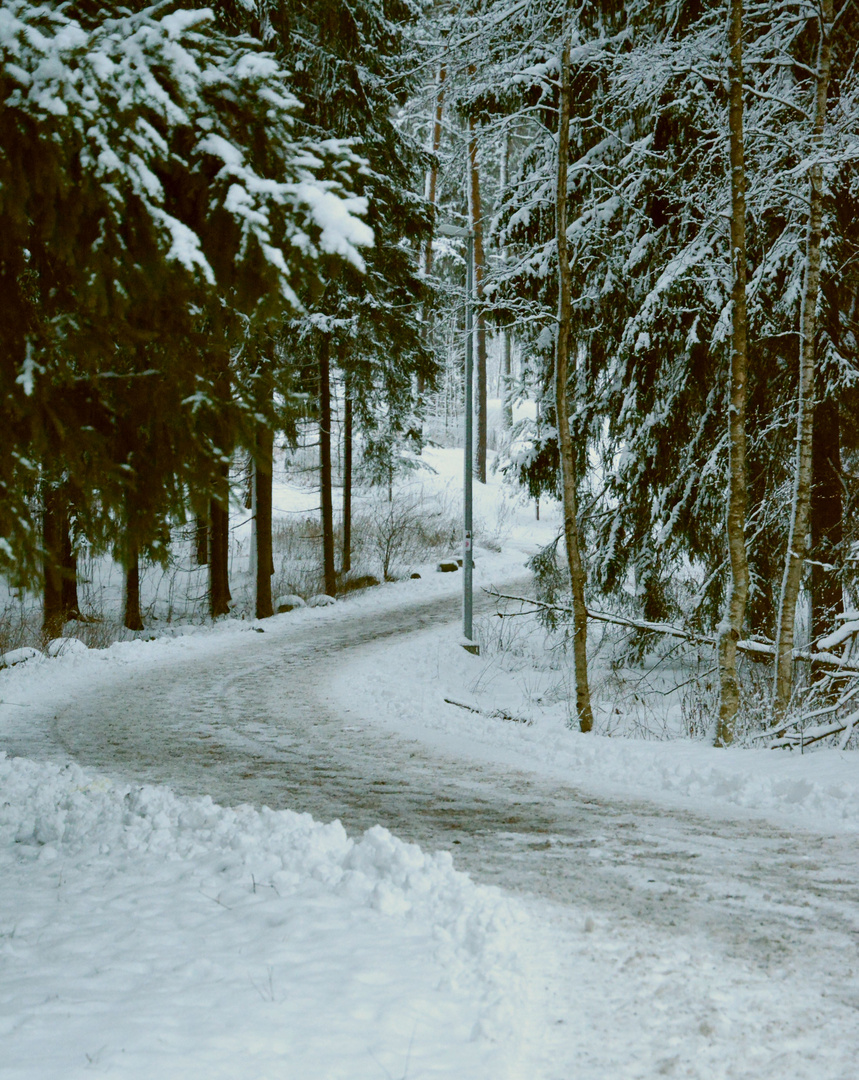 The plowed walking way