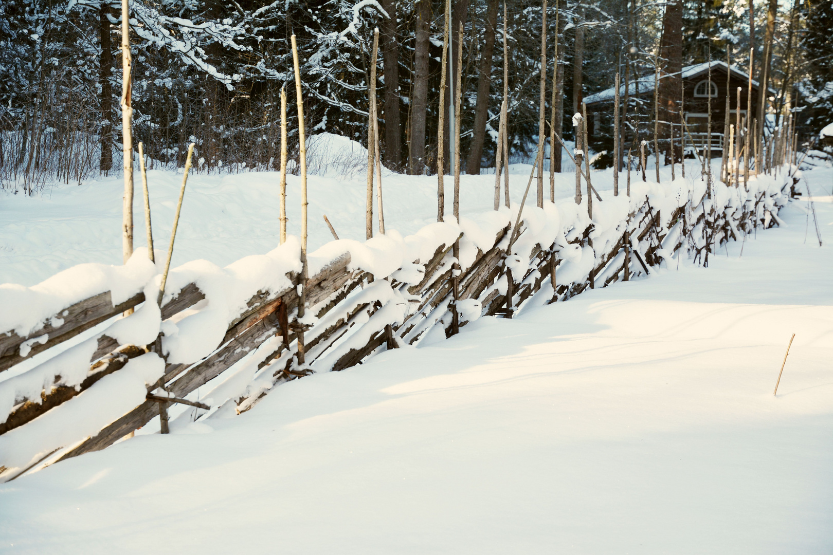 The pole fence on Seurasaari