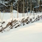 The pole fence on Seurasaari