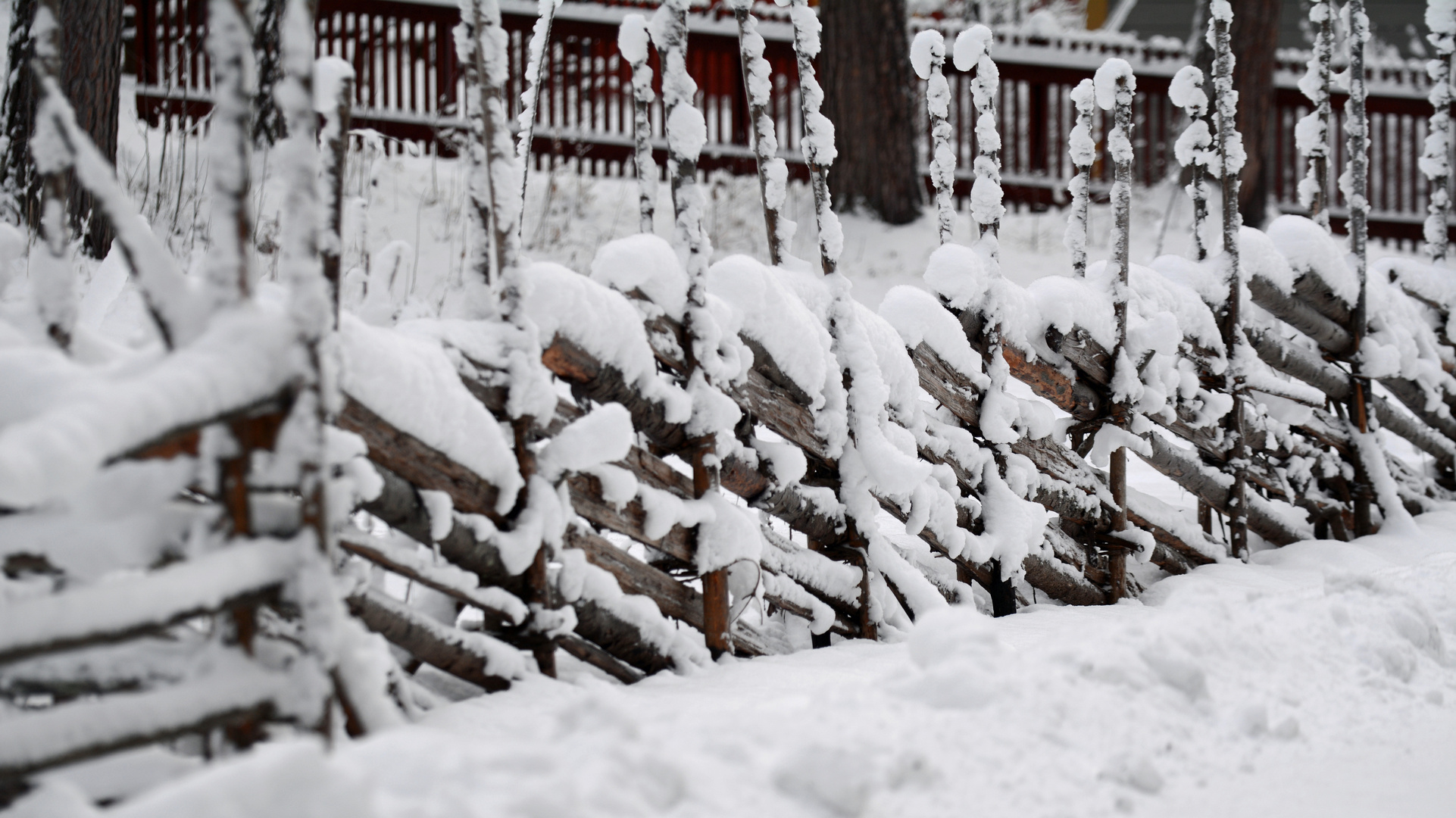 The pole fence on winter