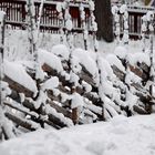 The pole fence on winter