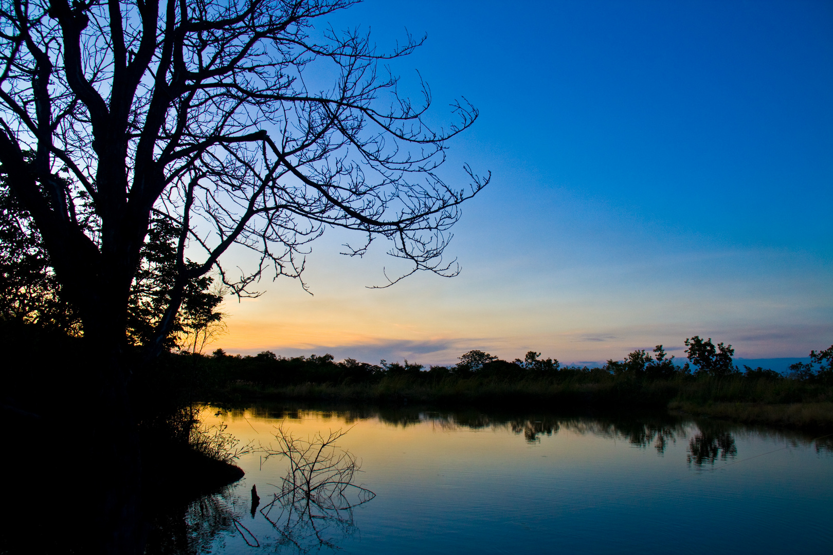 THE POND