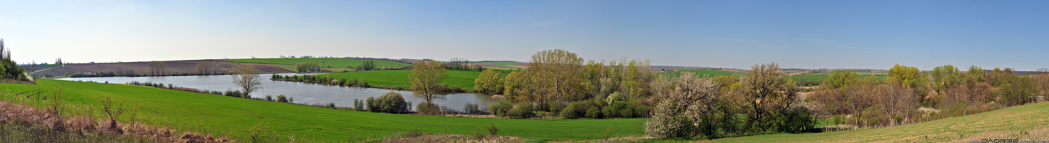 The pond