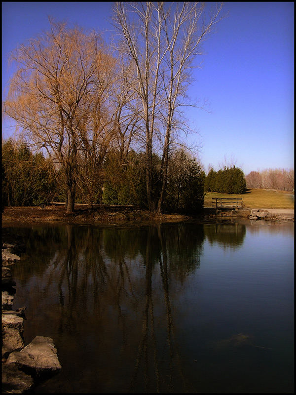 The Pond