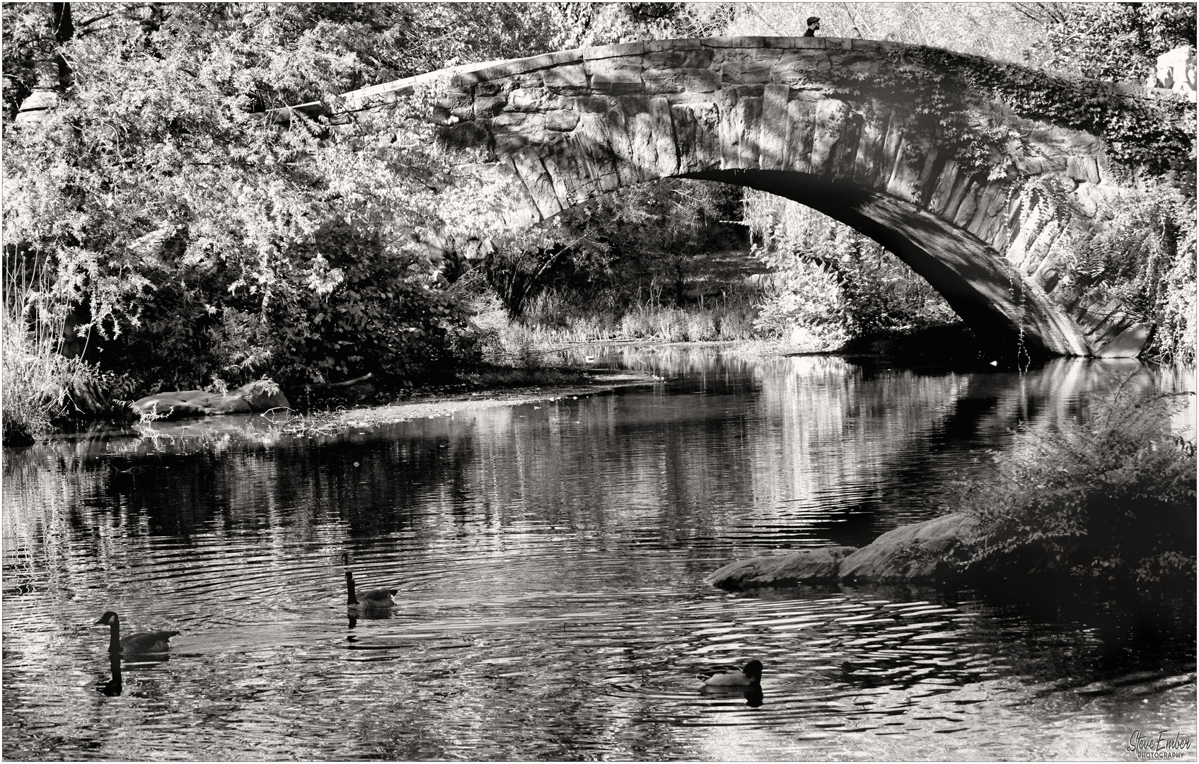 The Pond with Gapstow Bridge - A Central Park Impression