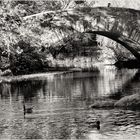 The Pond with Gapstow Bridge - A Central Park Impression