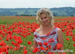 The Poppie in poppies in poppies