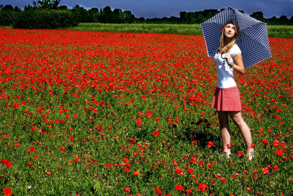 The poppy seed field