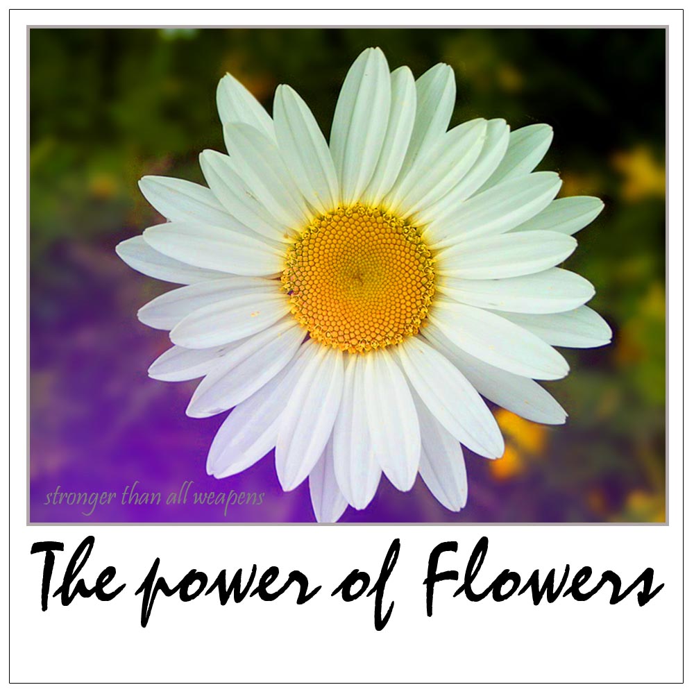 The power of Flowers