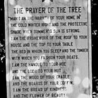the prayer of the tree