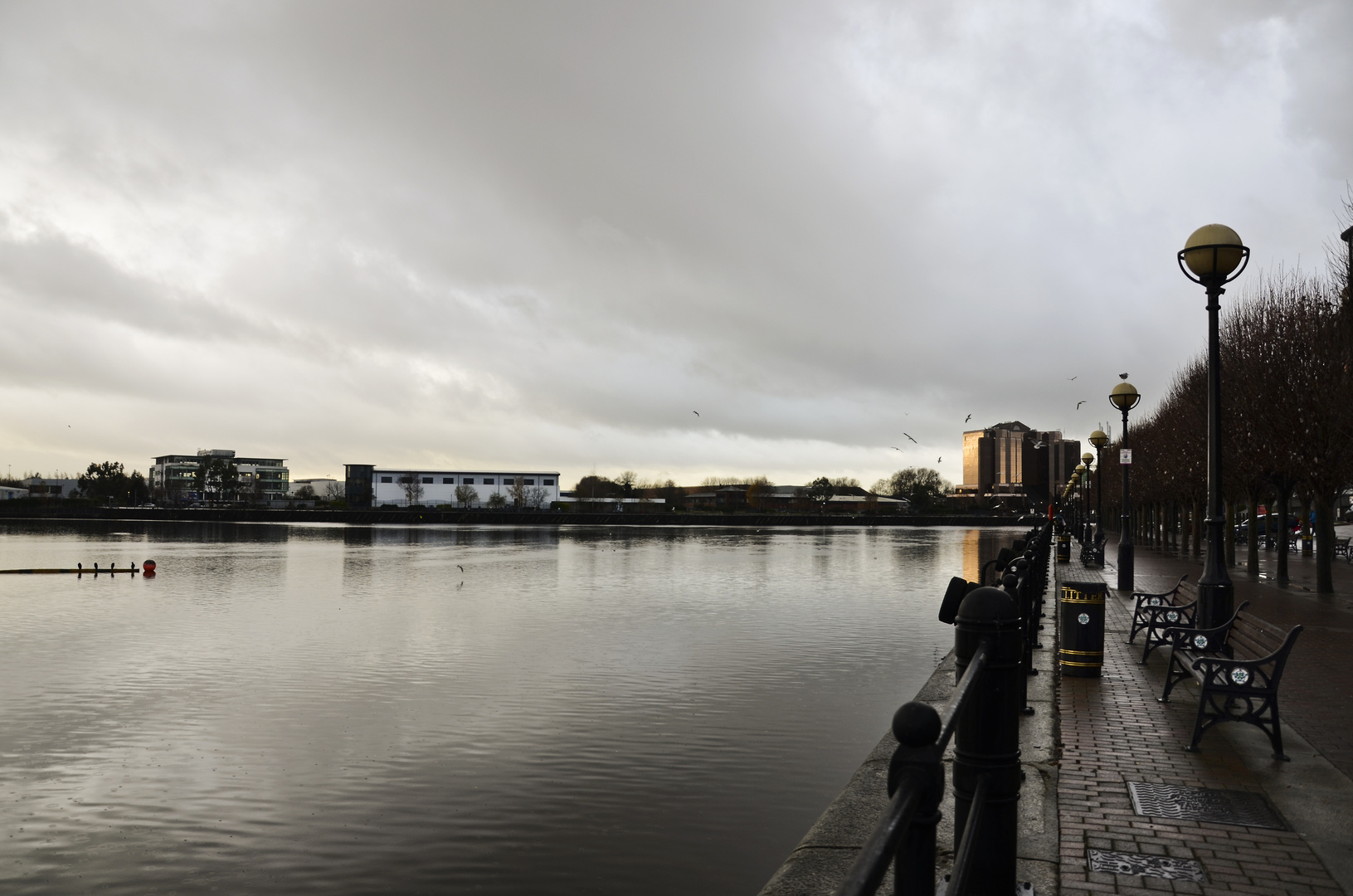 The Quays