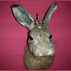 The queen and the easter-rabbit