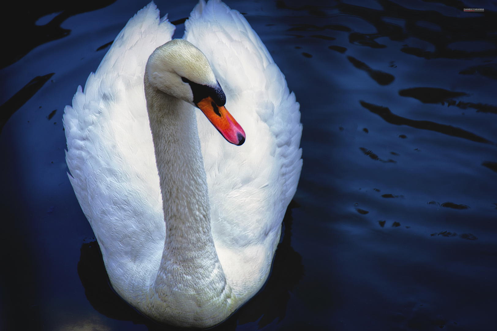 The Queen of the Lake