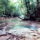 The Queen's Bath