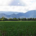 * The Queensland Hinterland *