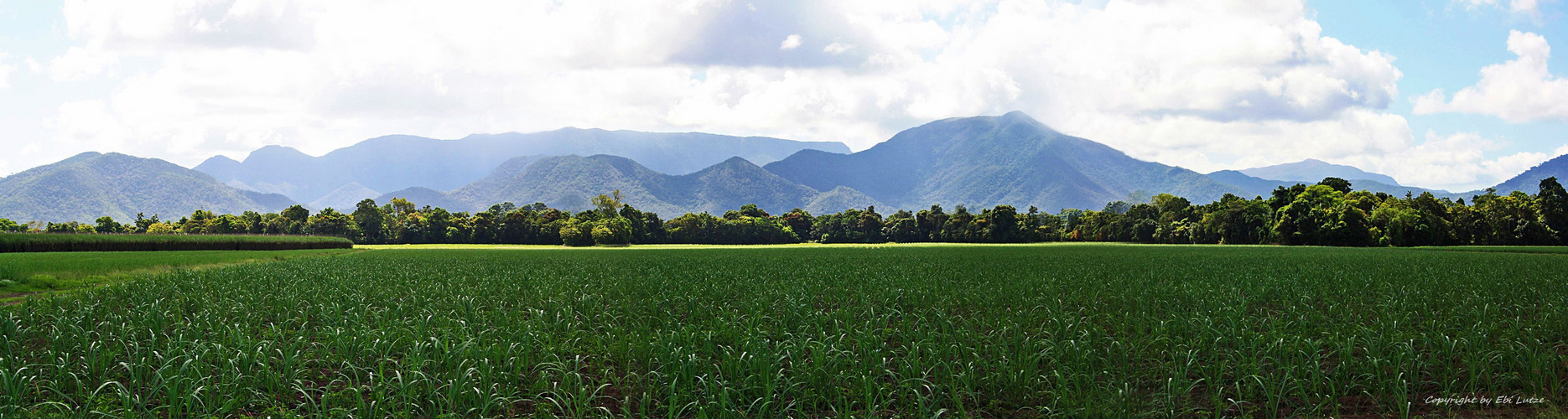 * The Queensland Hinterland *