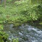 The Quell of the Black River in the NP Plitvice Lakes 1.st World Nature Eritage s.1979