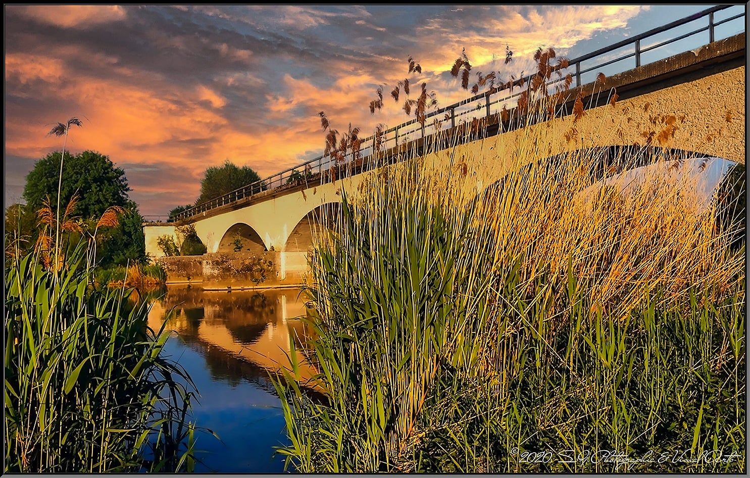 The quiet bridge that survived 185 tons of bombs