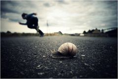 The Race